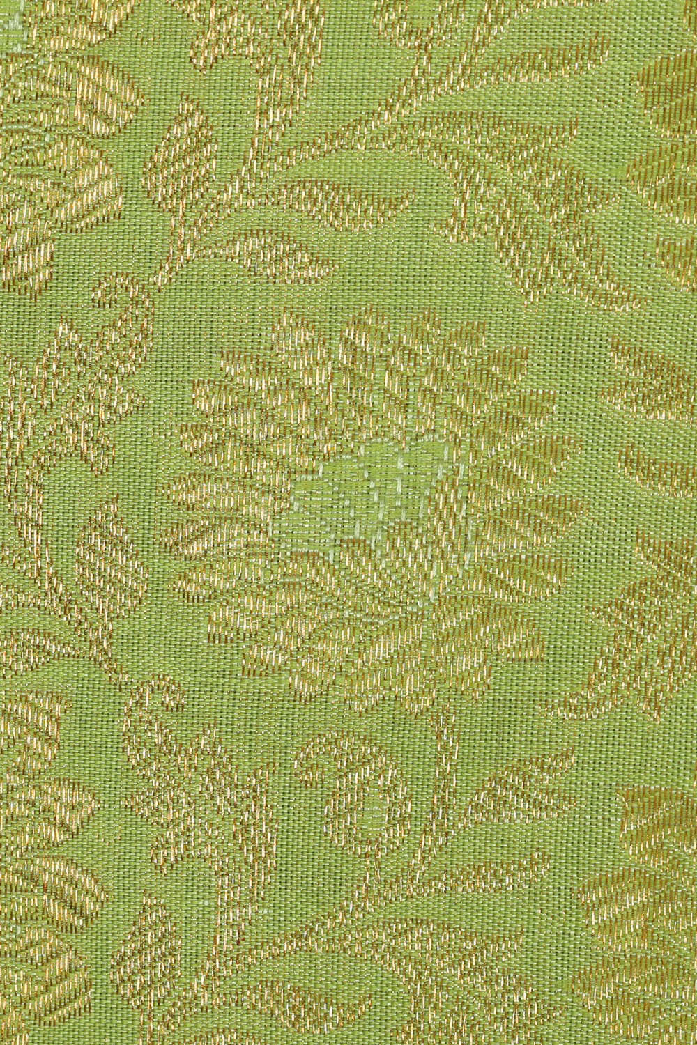 Image of Kanchipattu Light Green Brocade Saree
